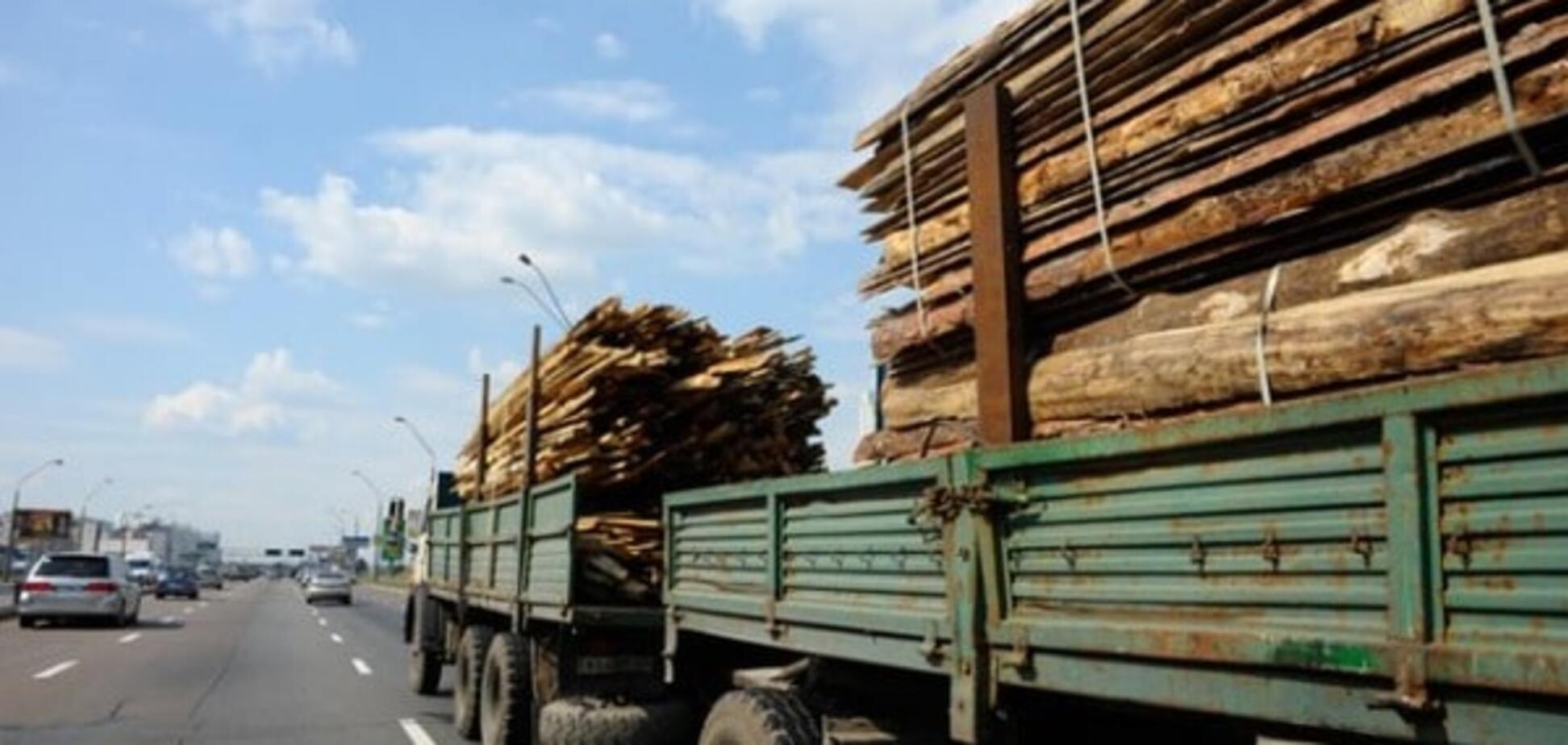 Та хоч ешелонами: вивезення лісу з України можуть знову дозволити
