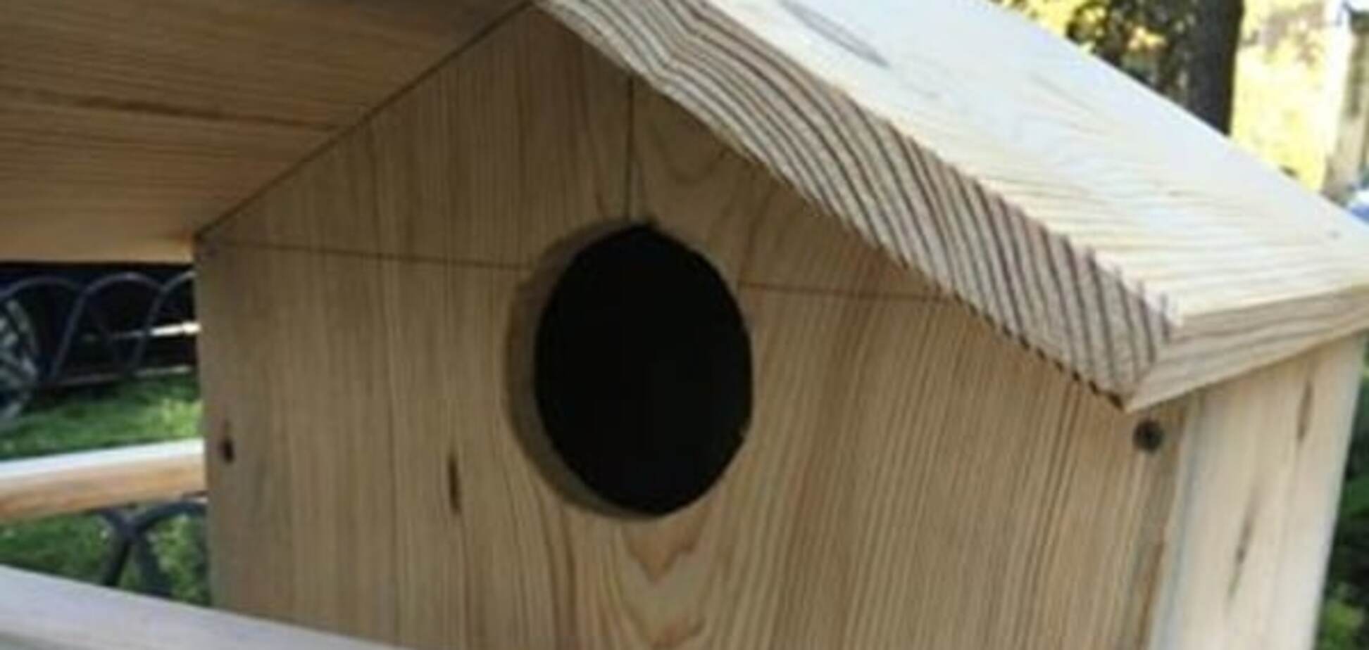 домик для белок