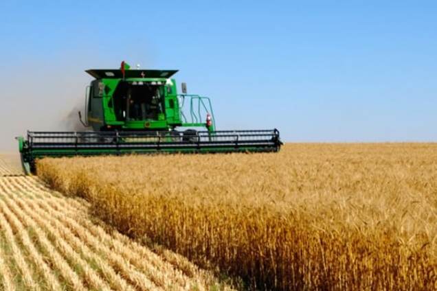 Жители херсонского села обвинили депутата от БПП Паламарчука в захвате предприятий