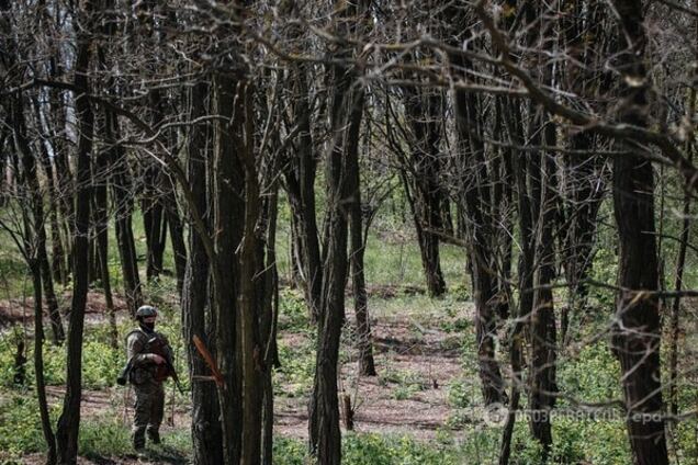 Офіцер ЗСУ розповів, про що не договорив Гіркін, розмірковуючи про Нуланд