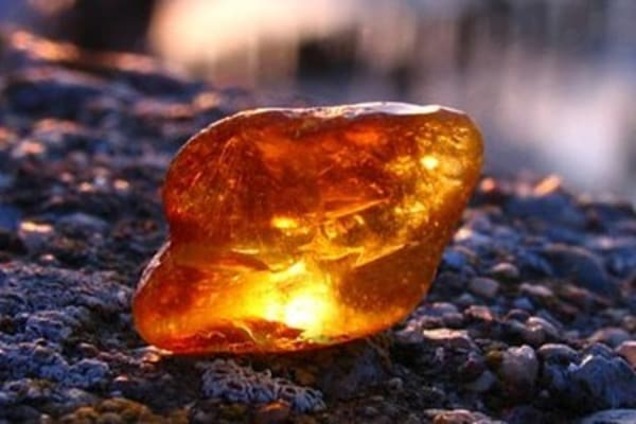 Что хотят: на Ривненщине копатели янтаря устроили акцию протеста