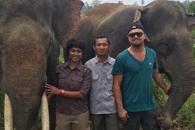 Леонардо ДиКаприо в Индонезии