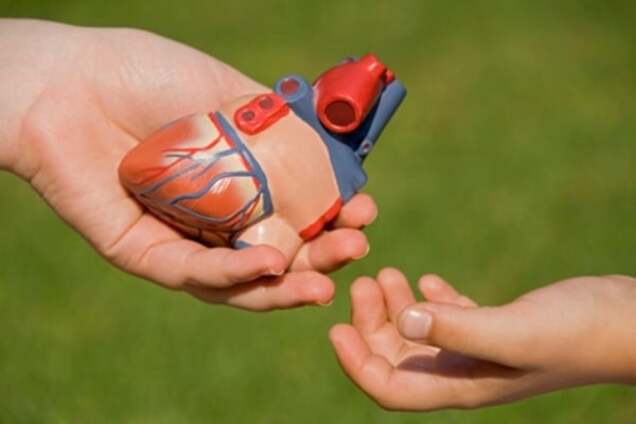 Шанс на життя: бути чи не бути донором після смерті