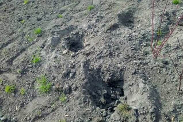 Киевзеленстрой