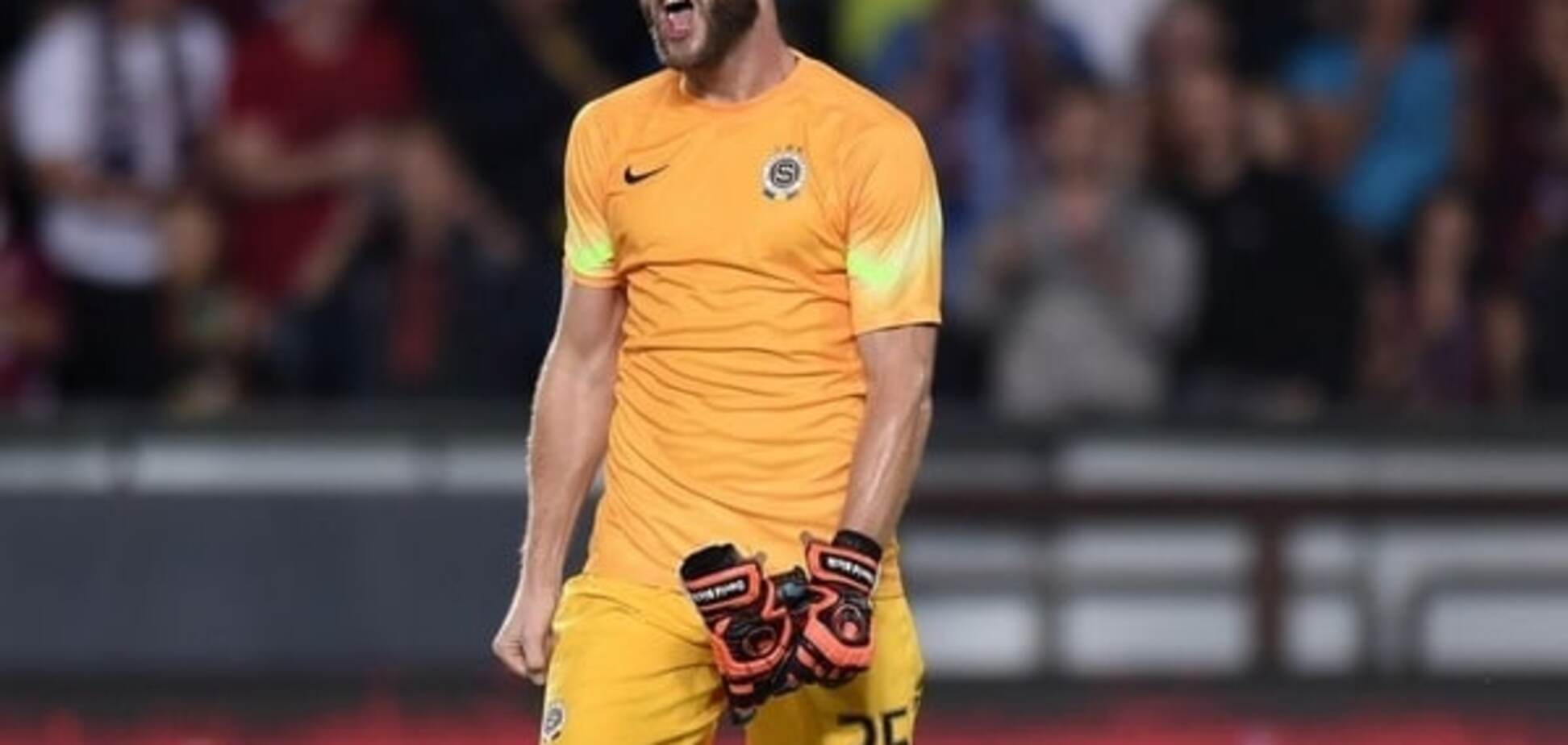 Давид Бичик