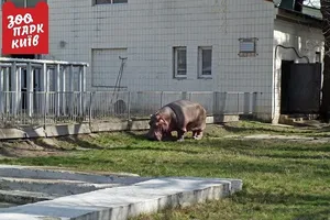 зоопарк