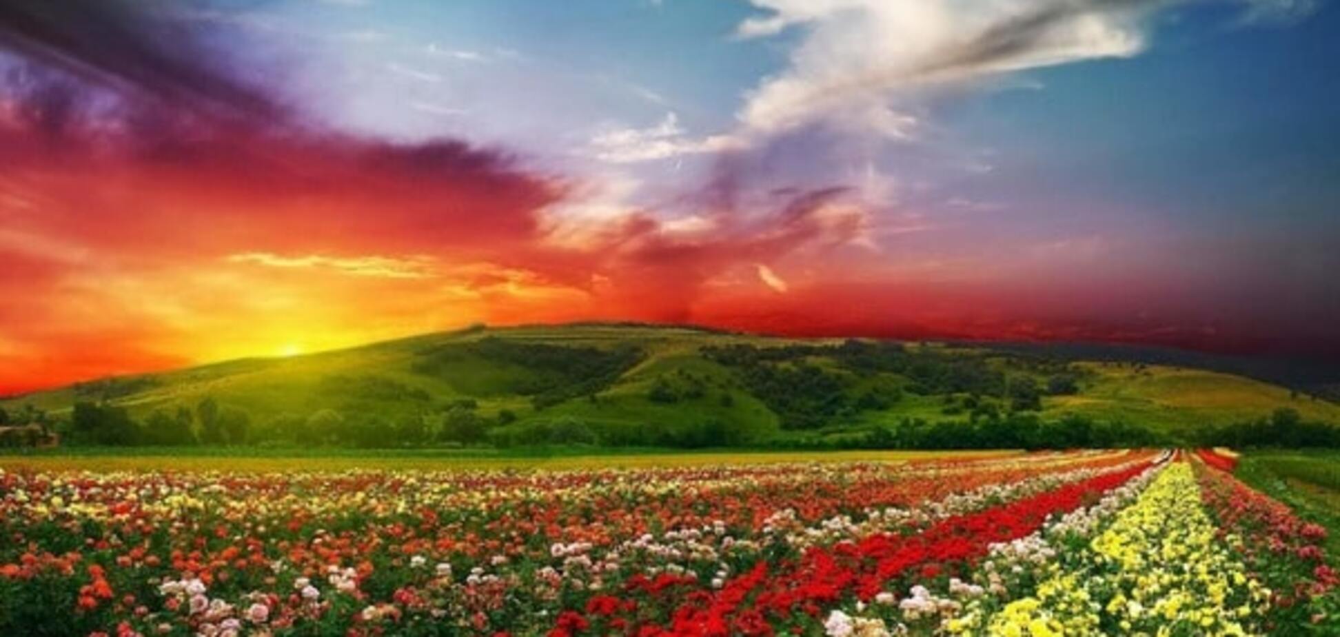 Долина цветов