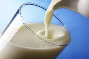 какое молоко полезнее