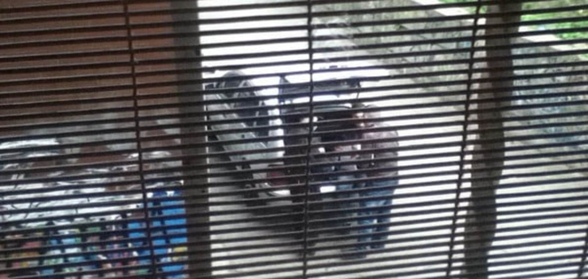 Пытались поджечь: в Киеве нашли машину убийцы хозяина Kiev Sport Club. Опубликованы фото