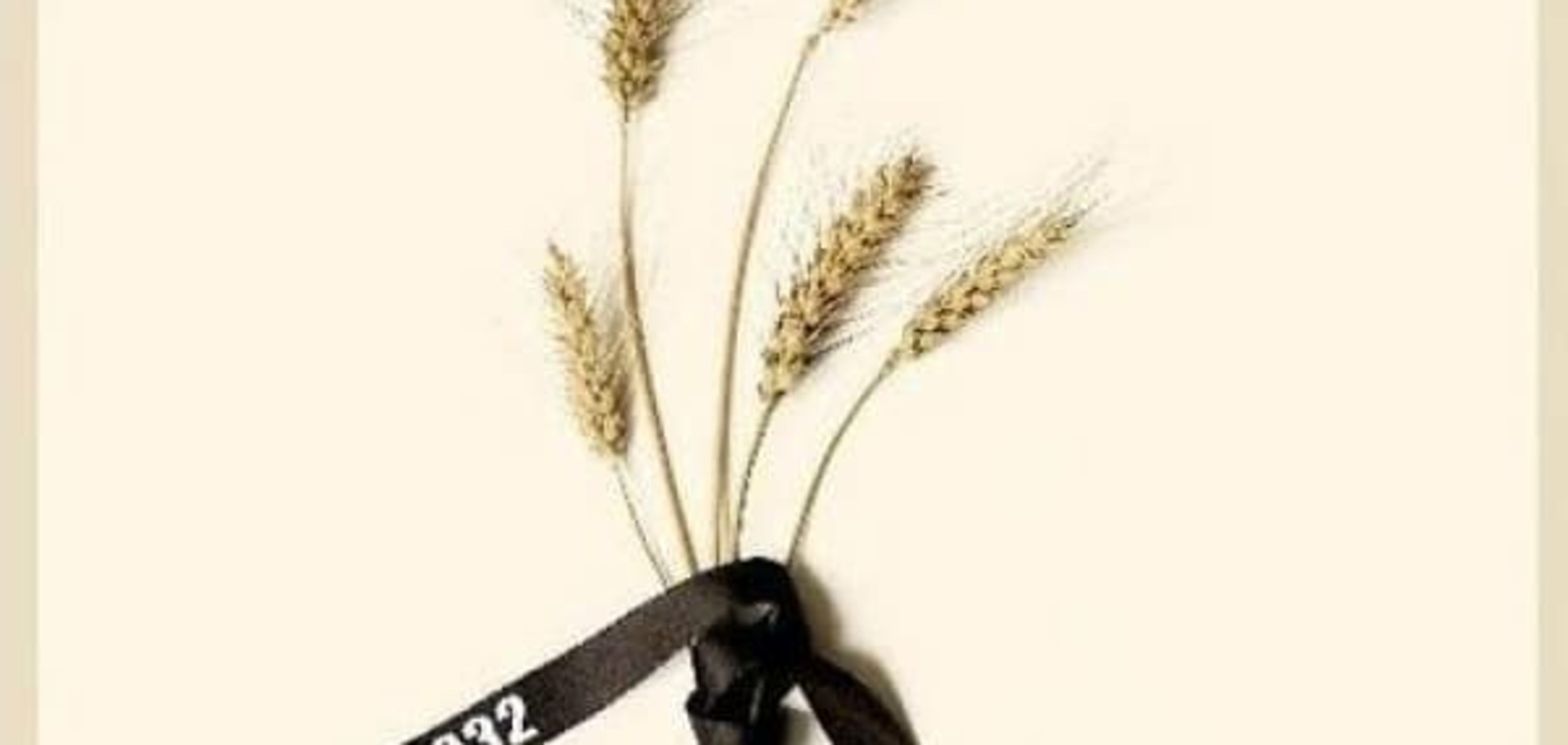 \'ВКонтакте\' оскорбила украинцев