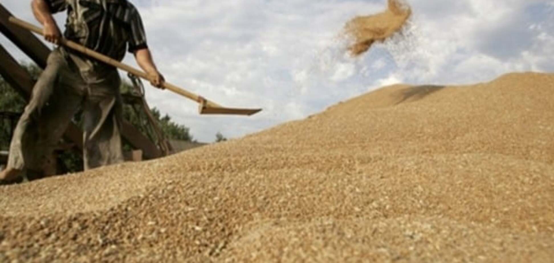Україна рекордно збільшила експорт зерна - Павленко