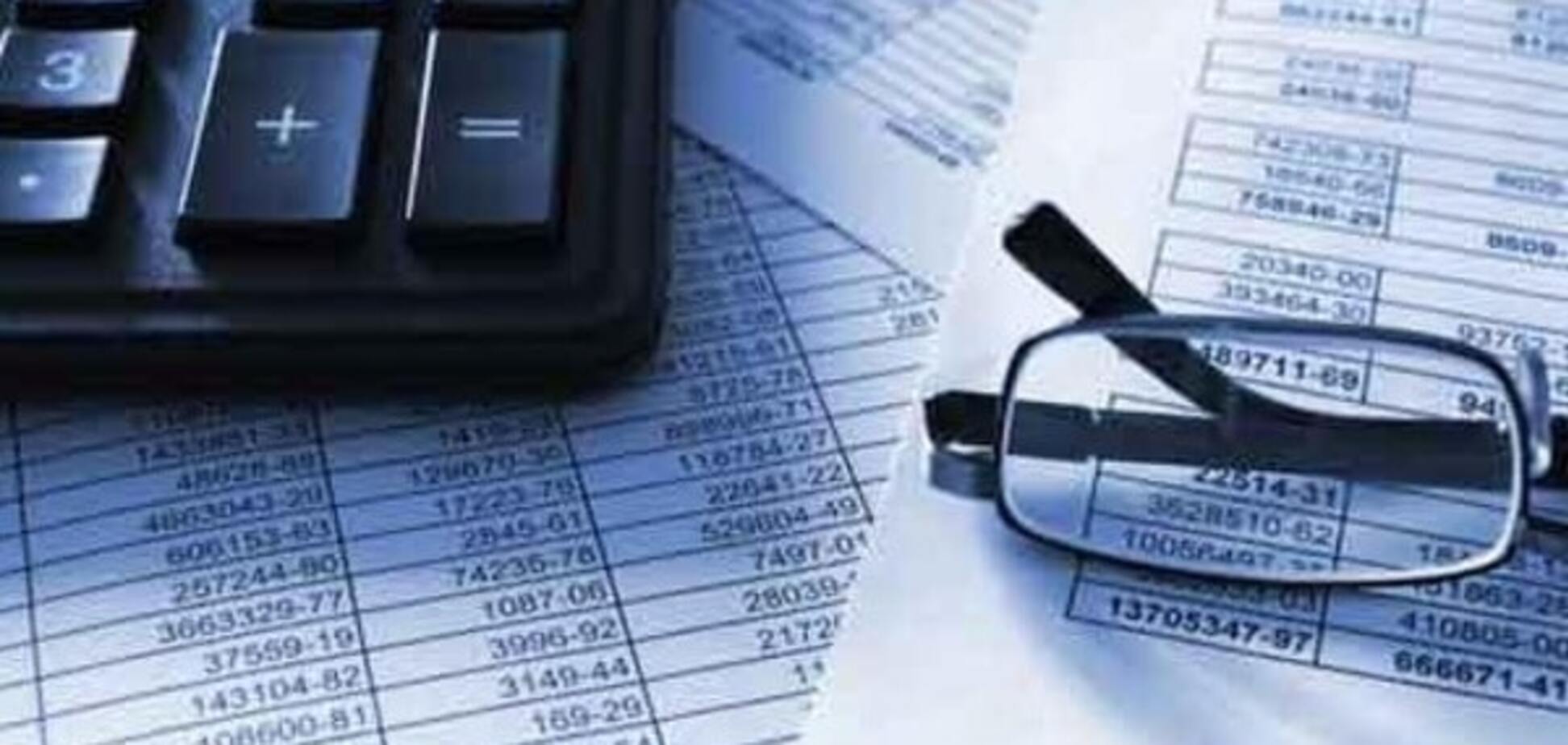 Аудит показал, что международные и украинские стандарты учета существенно отличаются – Радченко