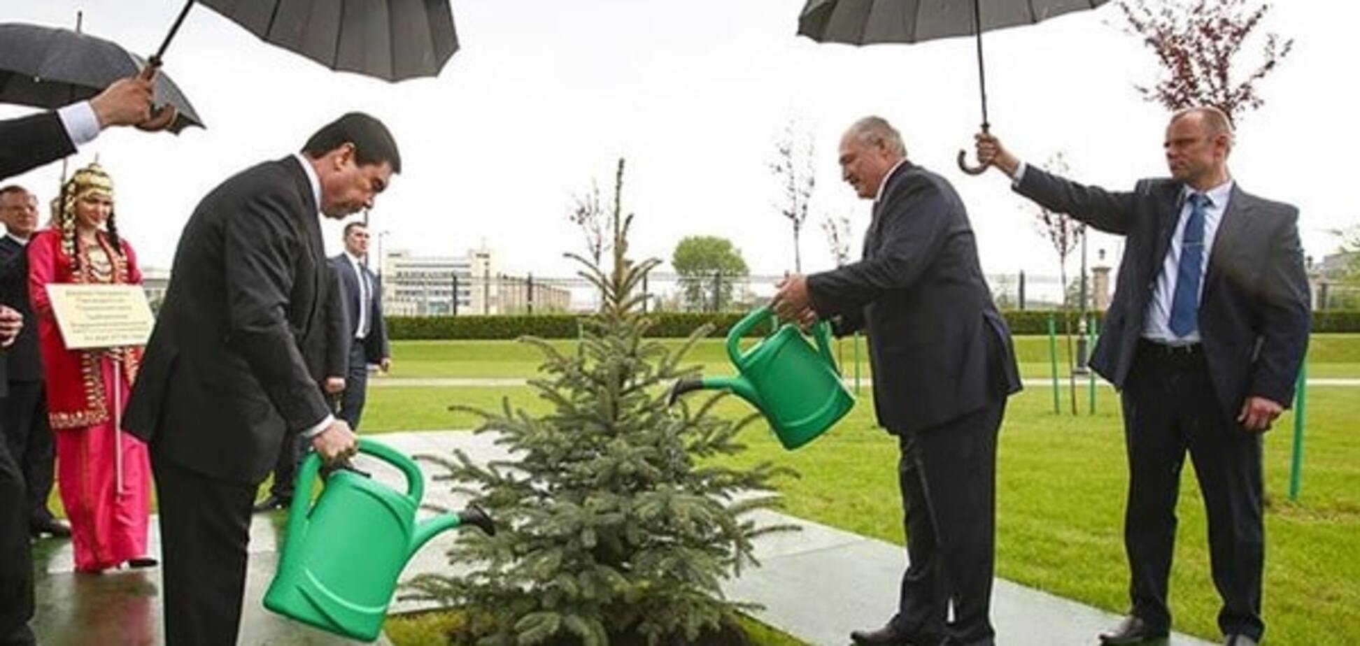 Лукашенко разом із президентом Туркменістану поливав ялинку під дощем