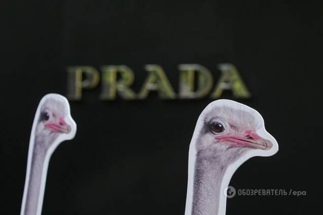 Премія 'Страуса': казус Луценка, знамення Путіну і цесарівна Поклонська