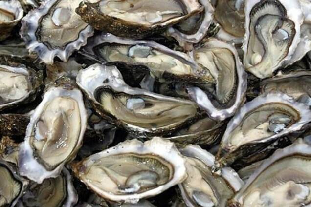 Устрицы