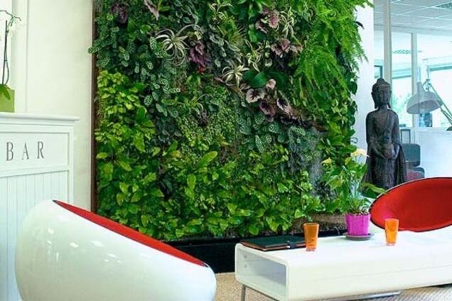 Вертикальный сад