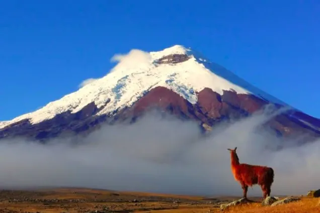 Chimborazo