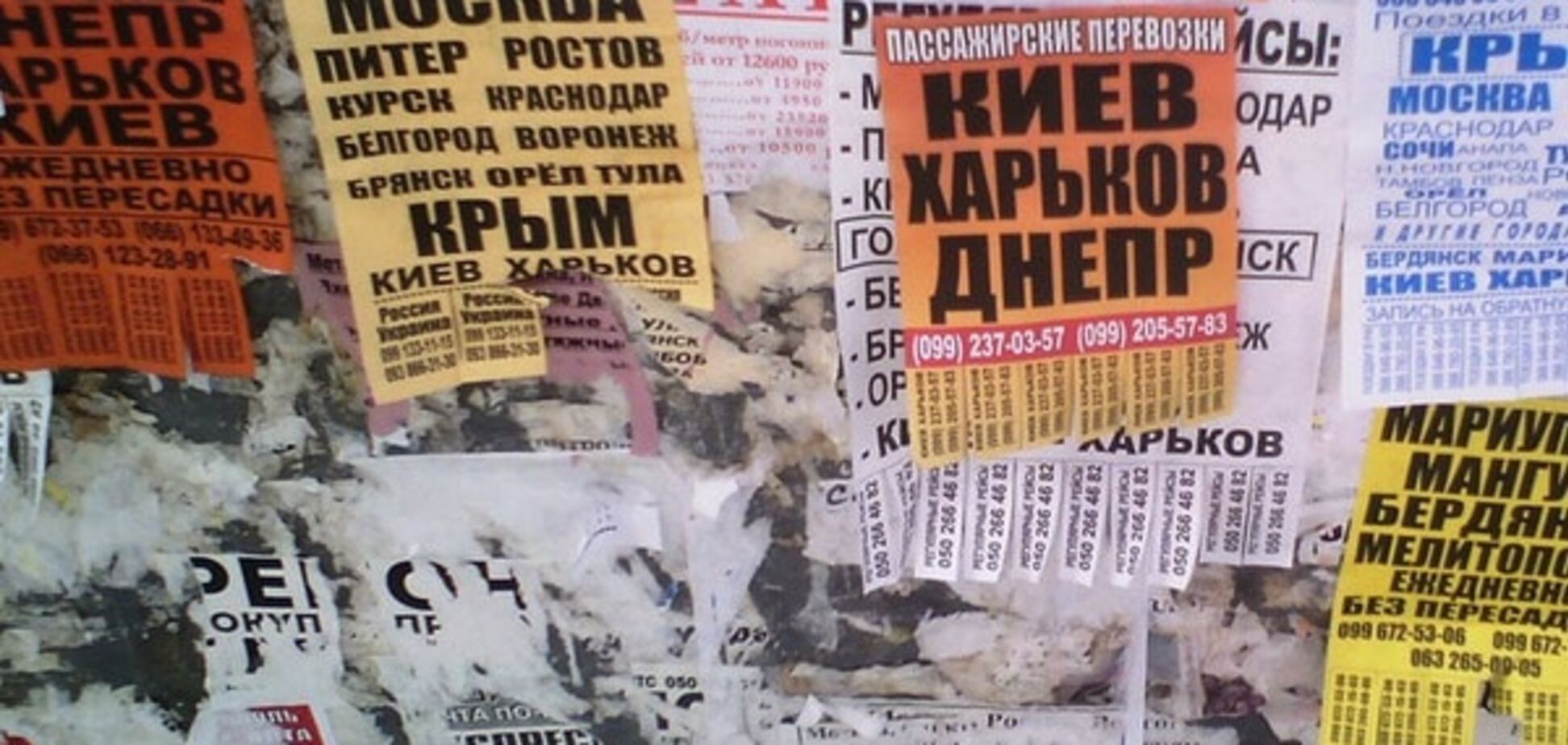 Жизнь в оккупации: составлен топ самых популярных объявлений Донецка
