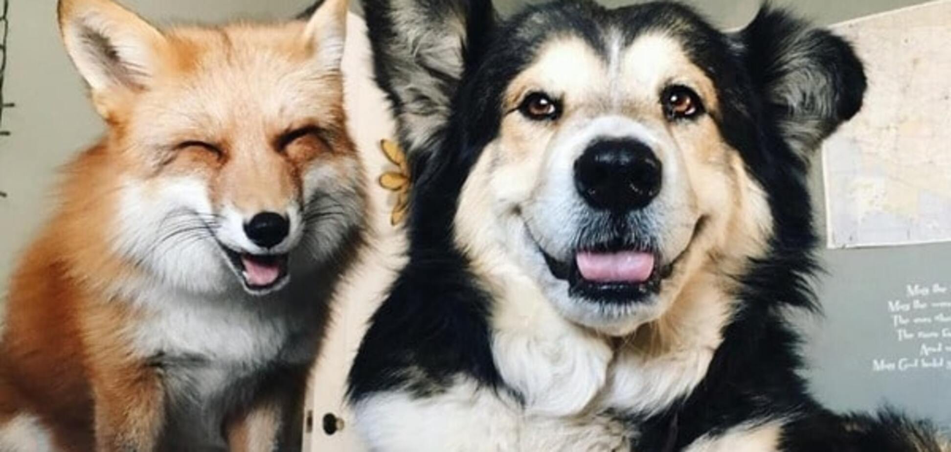 Джунипер и Муз