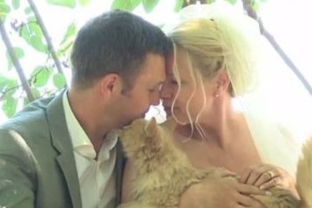 Молодожены