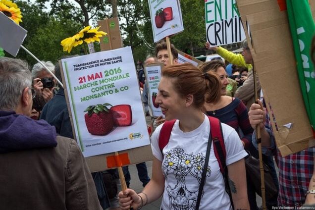 Экотеррор в Париже