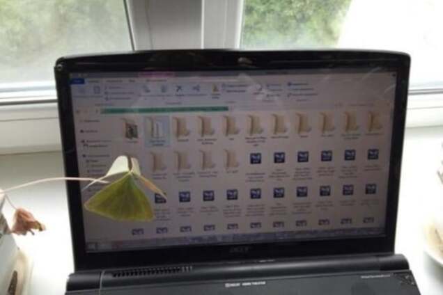 В Киеве полиция задержала распространителя детского порно: опубликованы фото