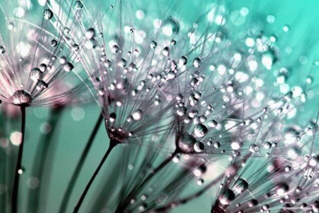 Капли дождя