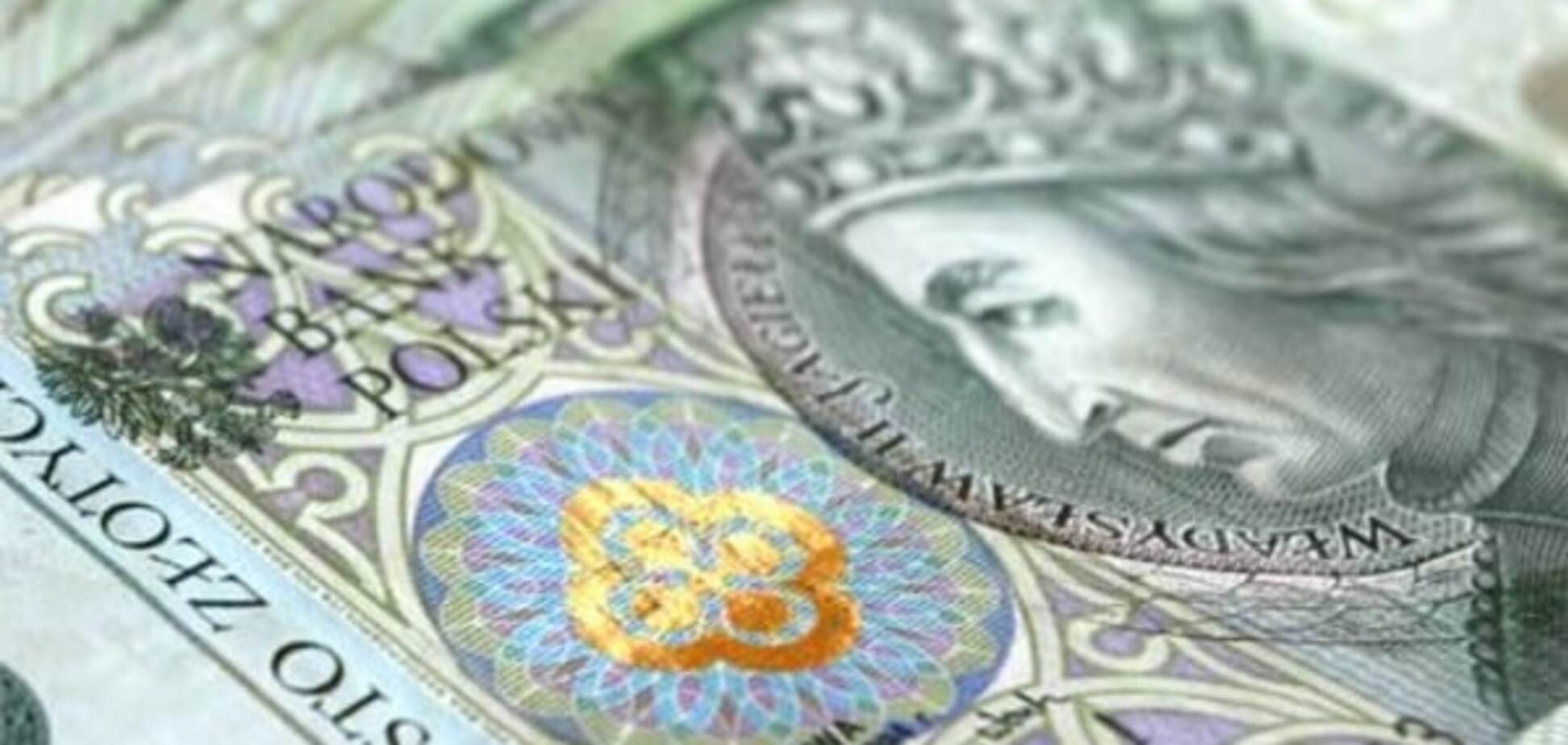 Польский злотый