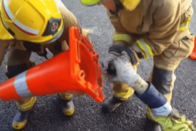 Пожарные в Новой Зеландии