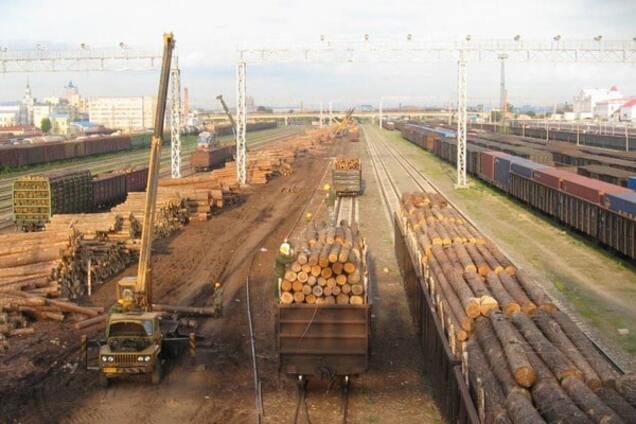 вагоны с лесом