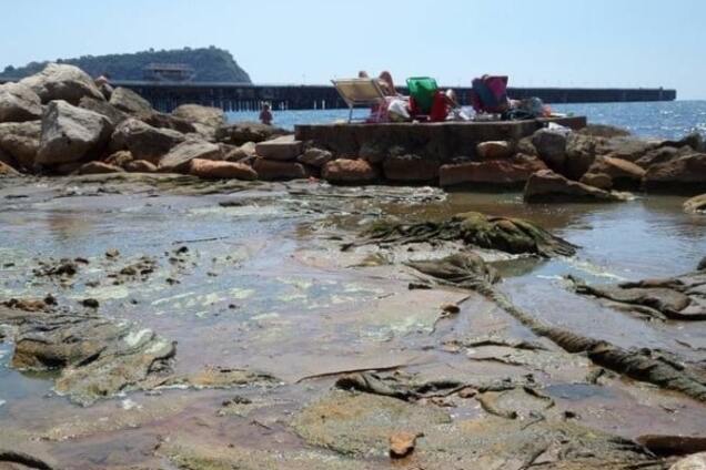 нечистоты на пляже