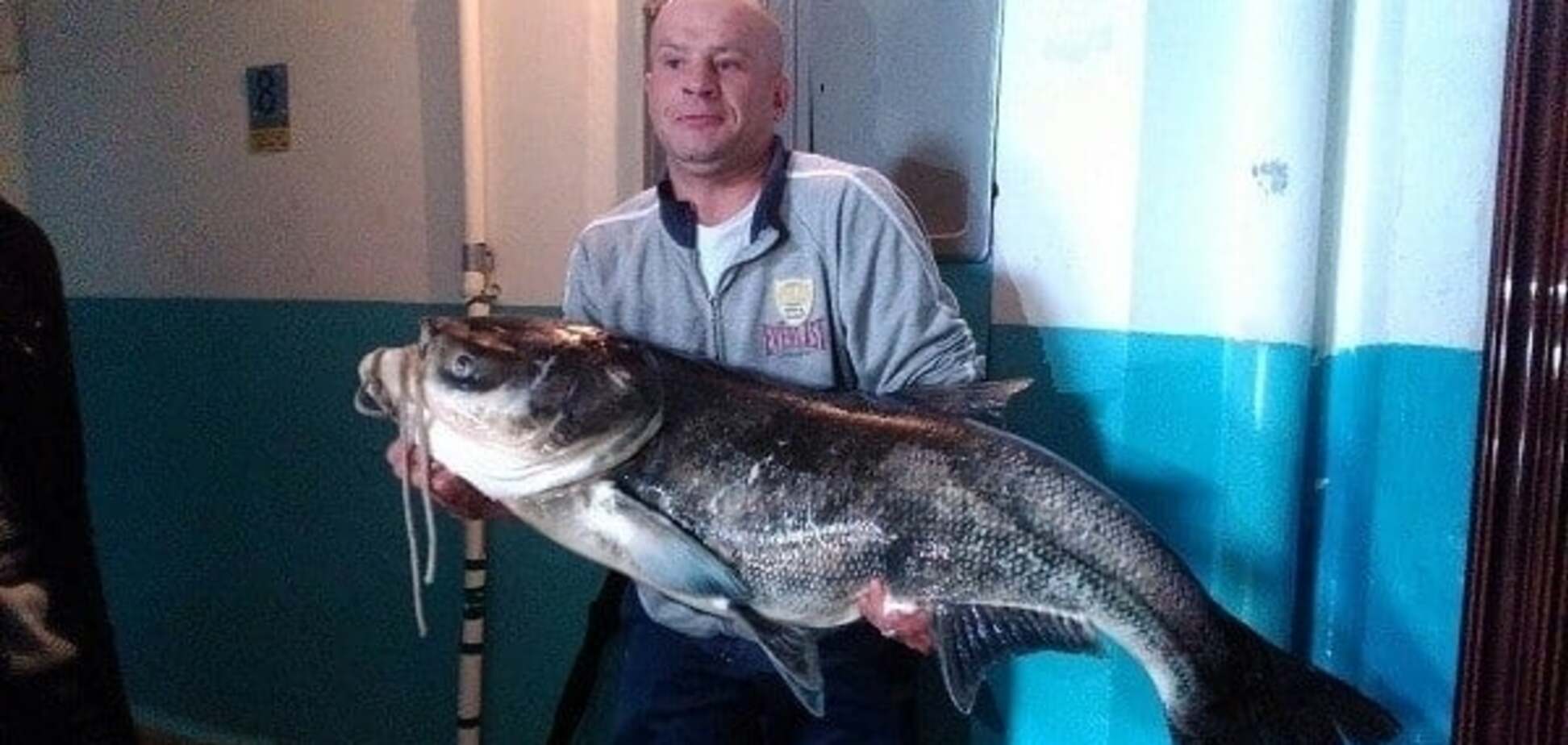 У Тернополі рибалка спіймав у ставі 33-кілограмового 'монстра'