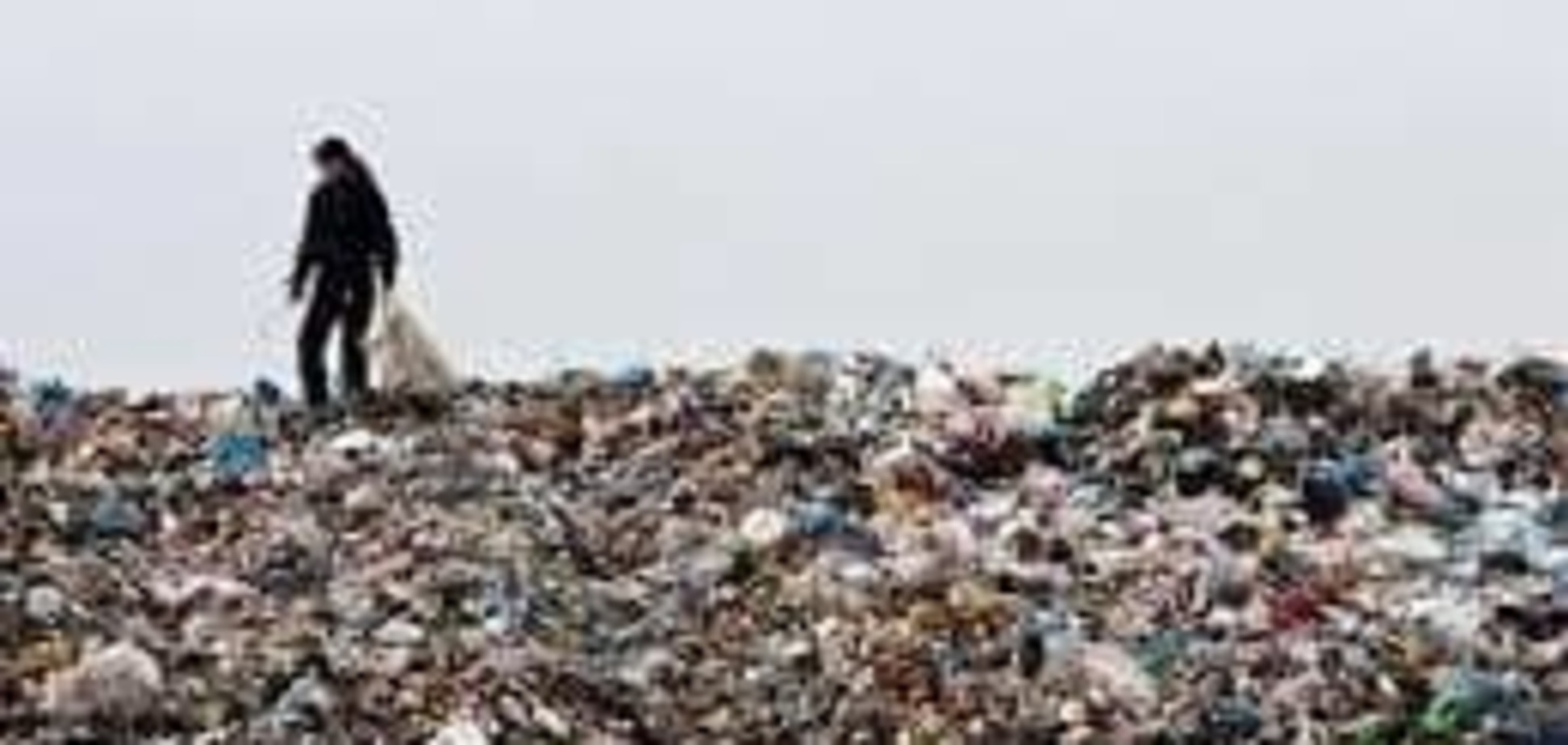 На Закарпатті розробили програму на 5 млрд грн для вирішення 'сміттєвої проблеми'