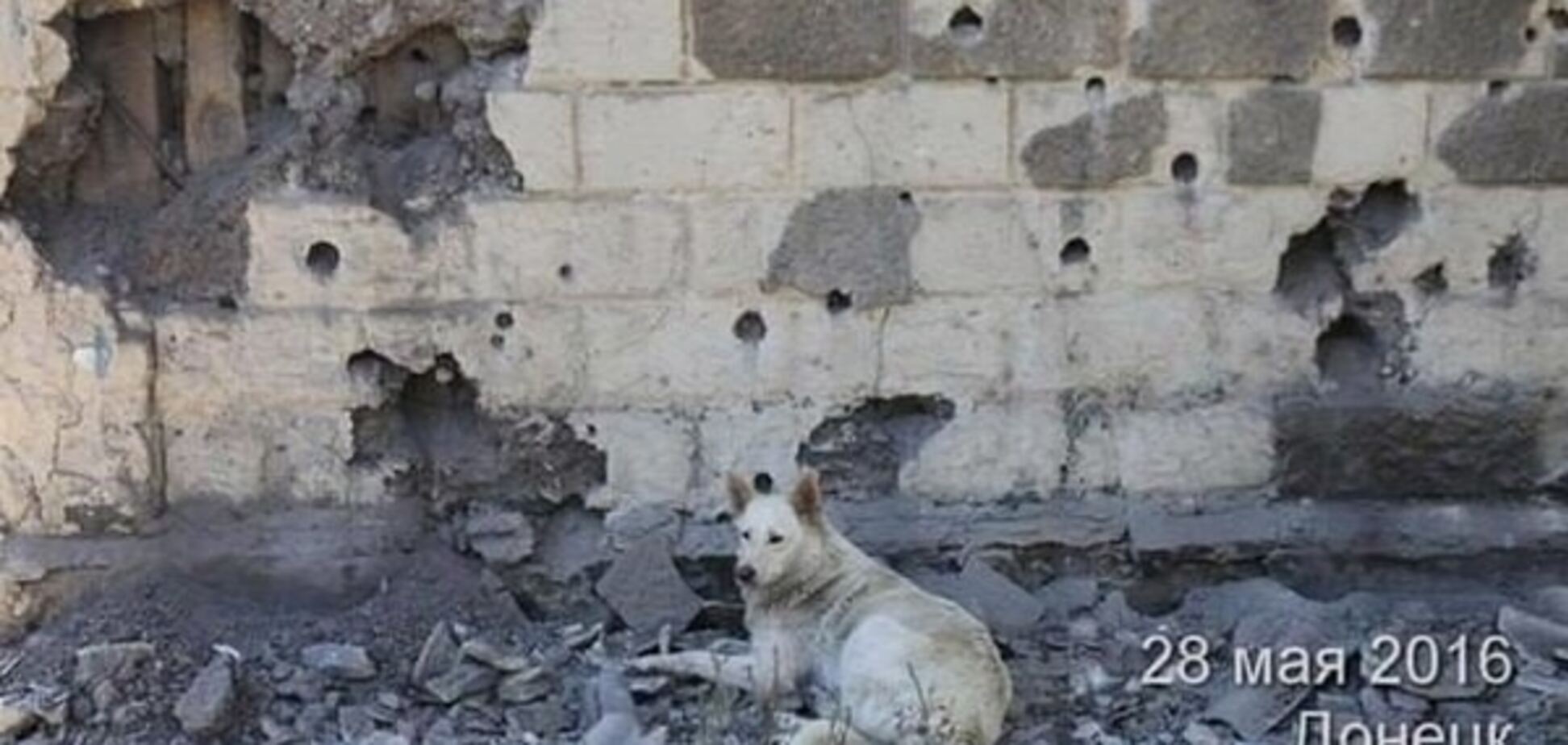 У мережі показали наслідки нічного обстрілу Донецька (ФОТО)