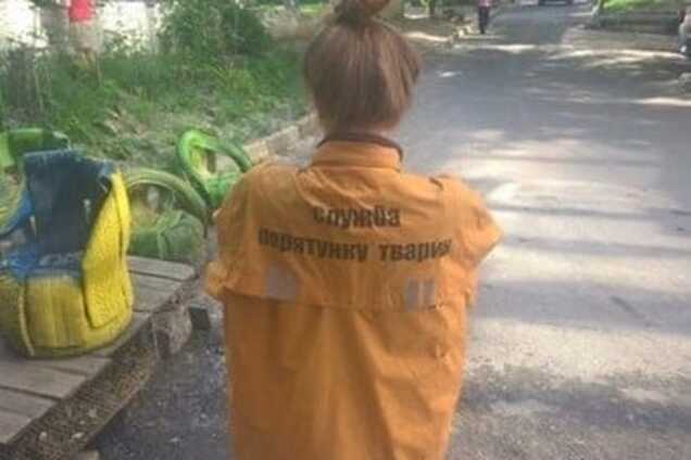 Быстриченко и Ко сами допускают жестокое обращение с животными?