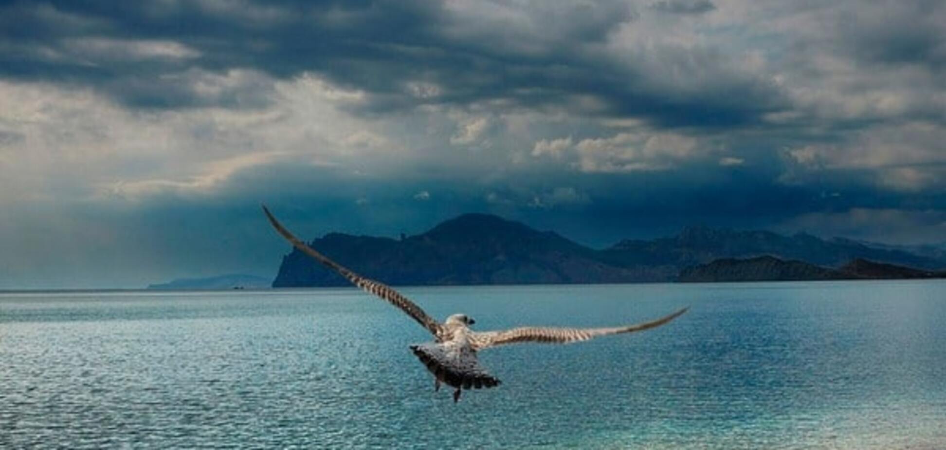 Россиян готовят к возврату Крыма