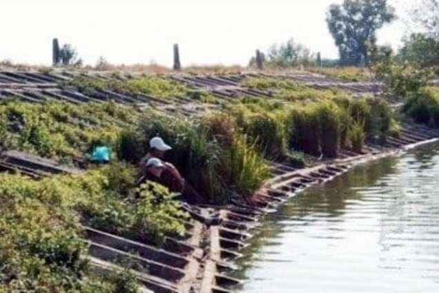 На Хмельниччині недобросовісні рибалки завдали шкоди області на 39 тисяч гривень