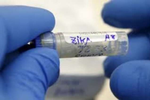 Провідні медики світу закликали відкласти або перенести Ріо-2016 через вірус Зіка