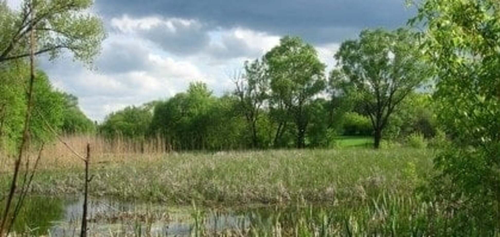 Прогноз погоды в Харькове в выходные