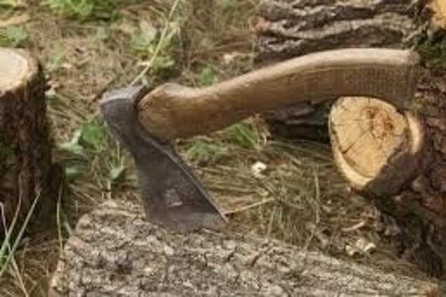 На Хустщині дерево вбило чоловіка