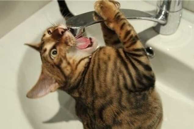 Где в Харькове не будет воды 29 мая. Список адресов