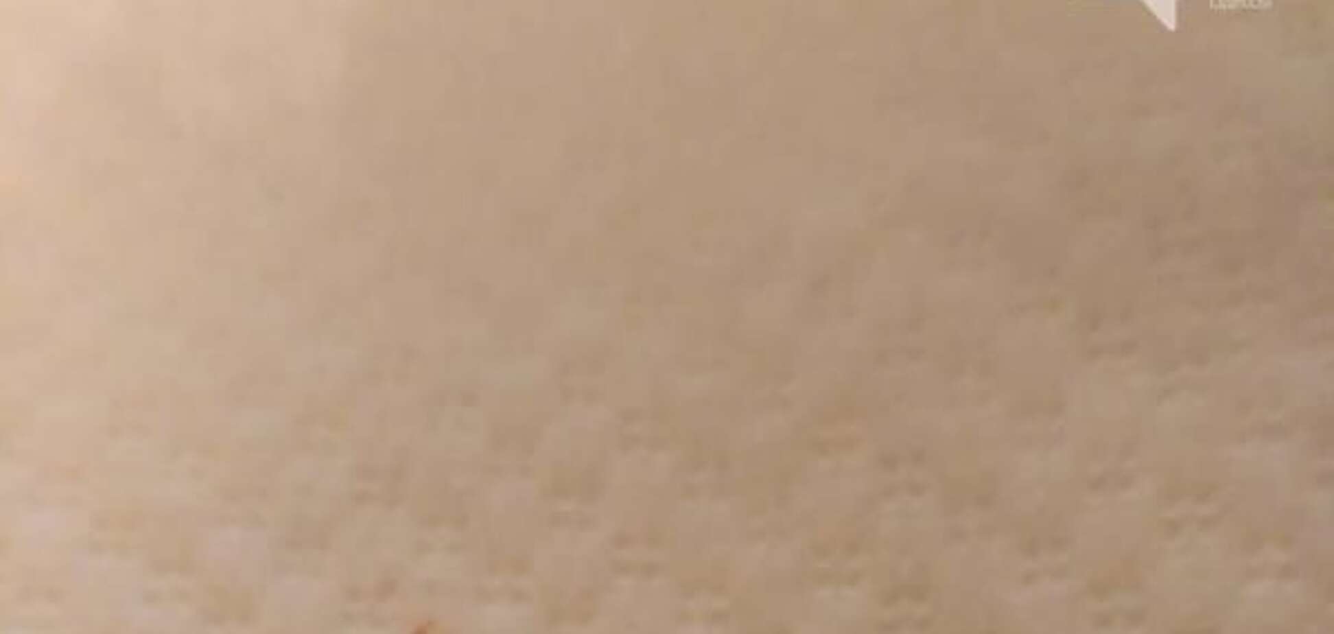 В Одессе неадекватный живодер стреляет в котов