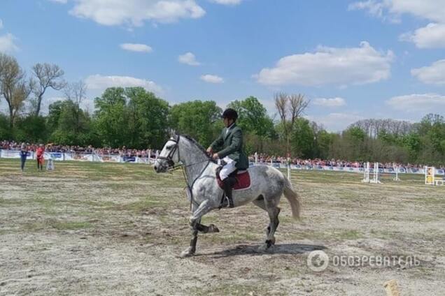 Лошади дети