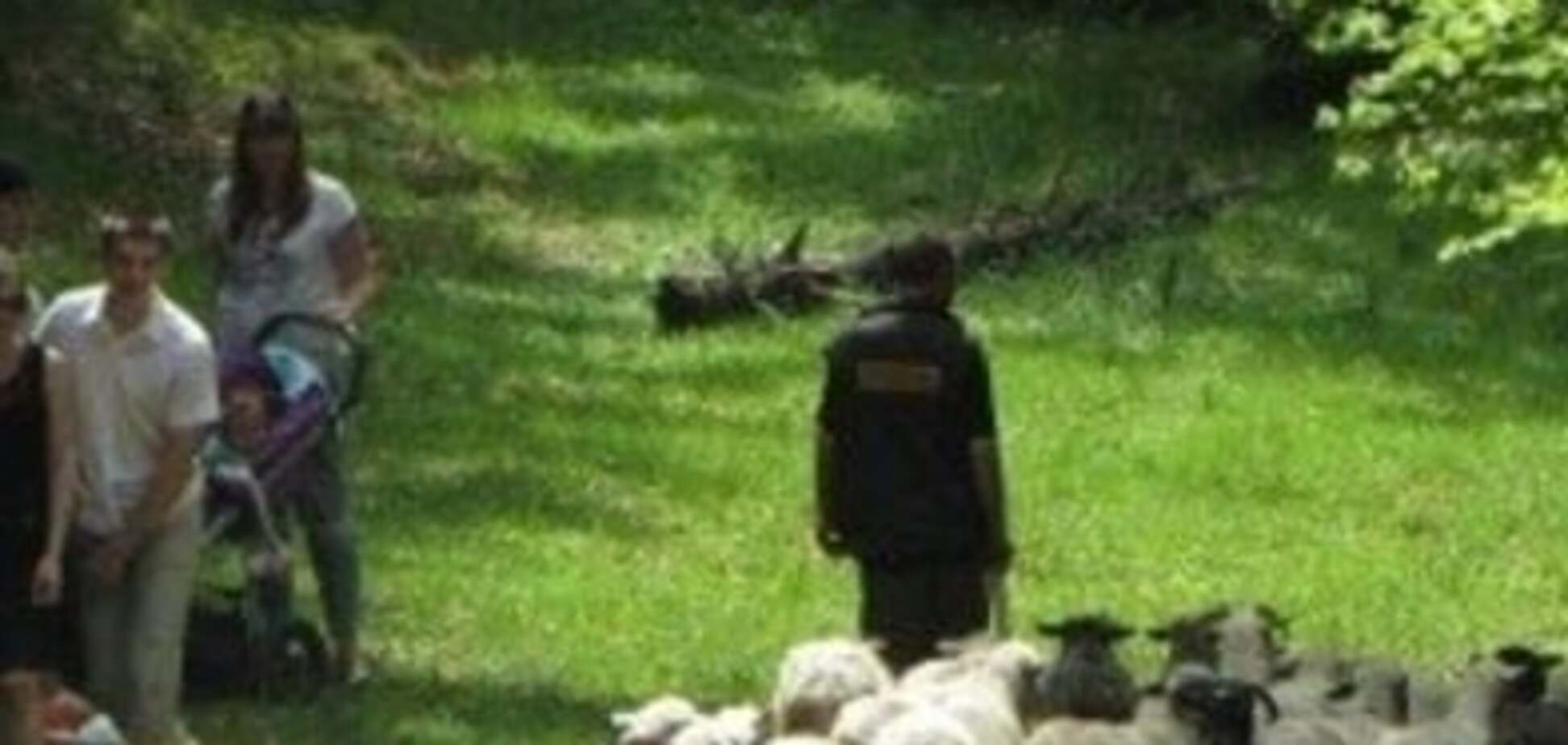 На Синевирському перевалі відбулося традиційне свято “Проводи отар на полонину” (ФОТО)