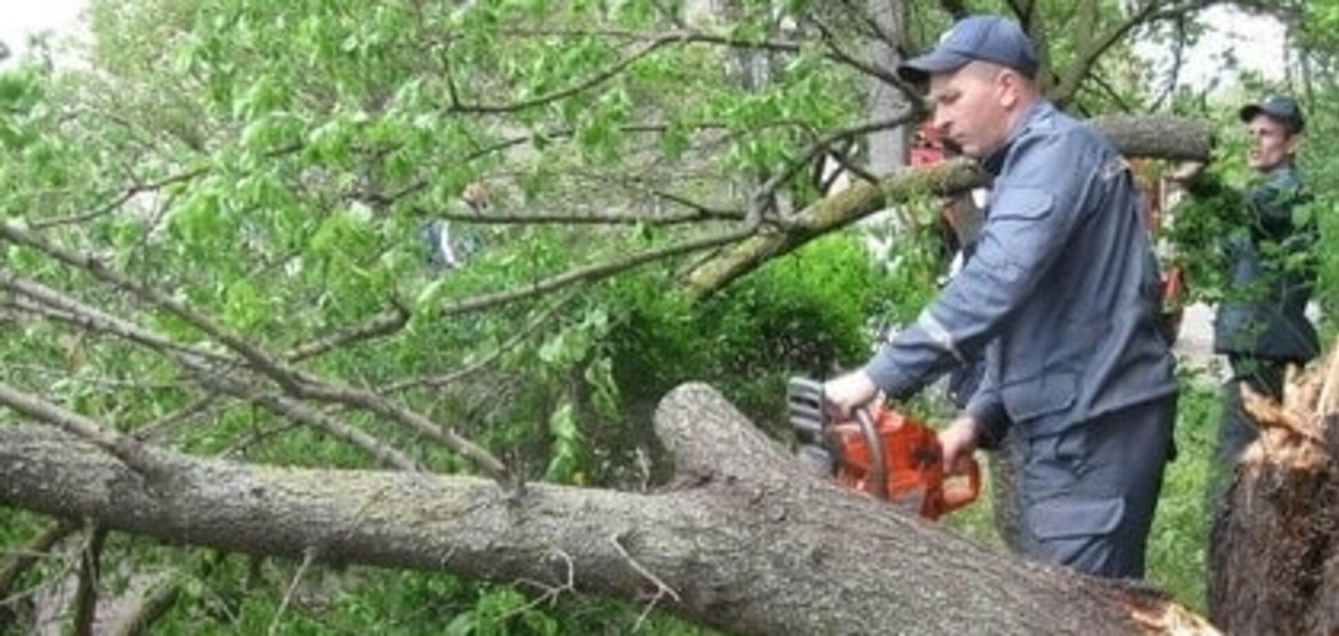 Cпасатели ликвидировали последствия урагана в Харькове