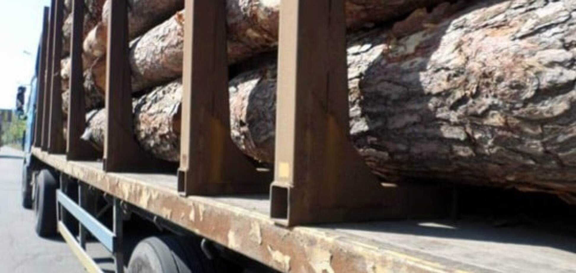 Мораторий на экспорт леса