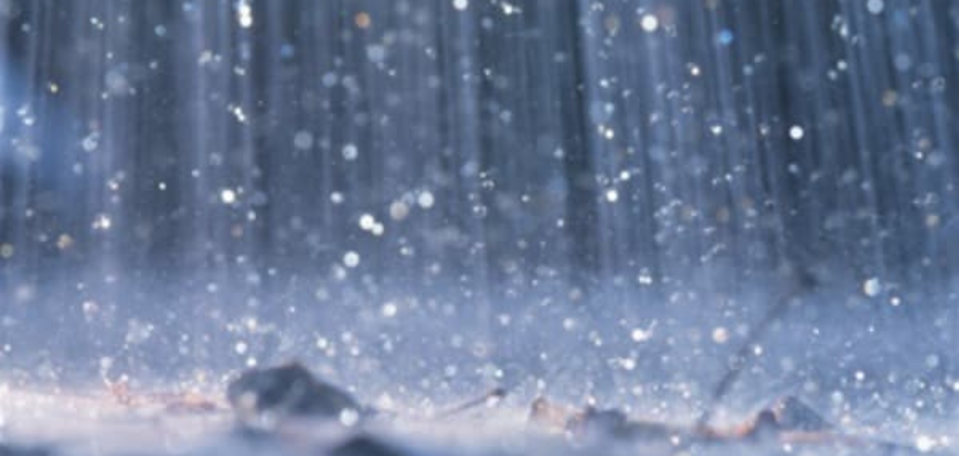 Дощі і грози: синоптики розповіли про погоду на День Перемоги