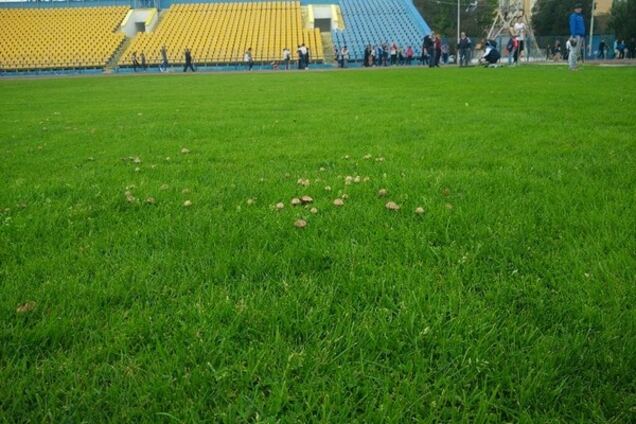 Говерла Ужгород