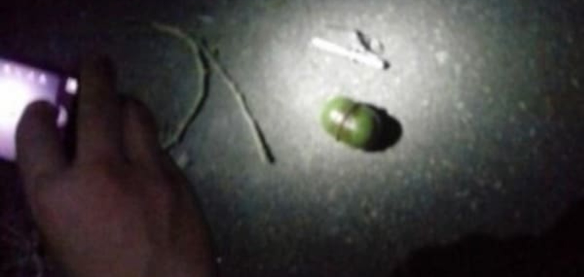 'АТО' по-кировоградски: военный бросил в полицейских гранату