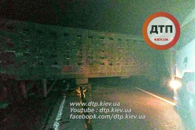 Под Киевом ВАЗ на скорости въехал в скотовоз: есть жертвы